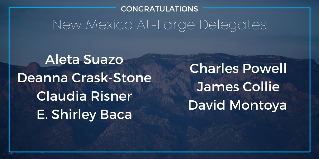 At Large Delegates to the Democratic National Convention