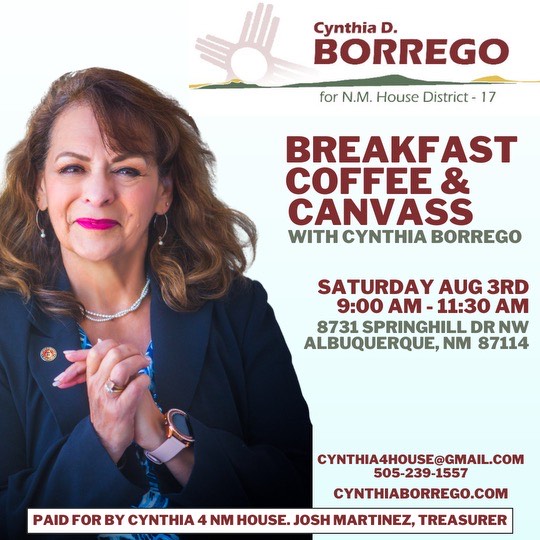 You are currently viewing Cynthia Borrego Canvass Launch!