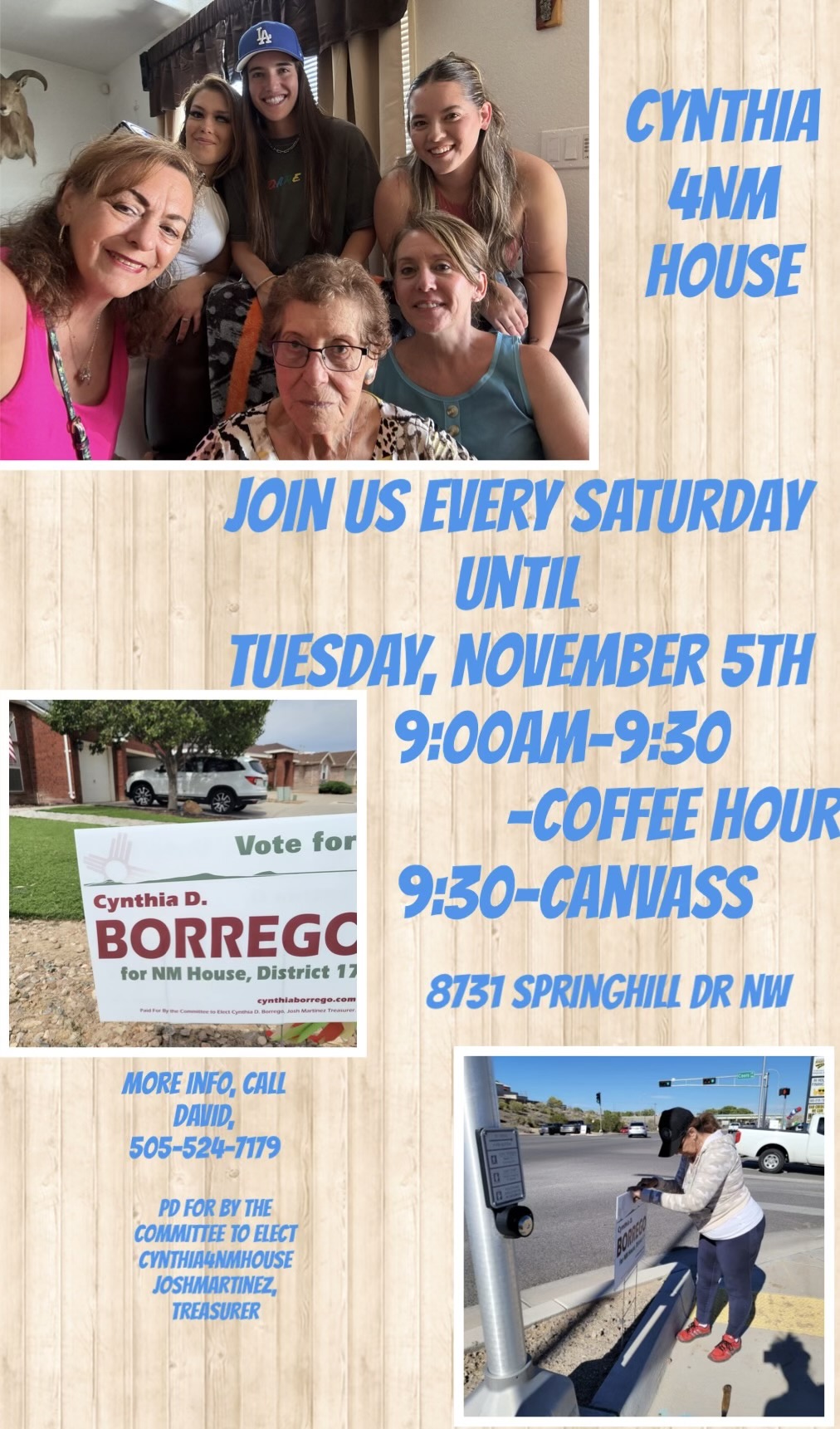 You are currently viewing Cynthia Borrego Canvass
